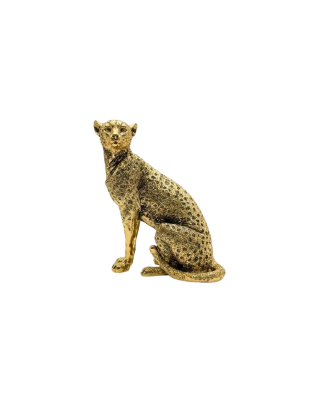 The Golden Cheetah