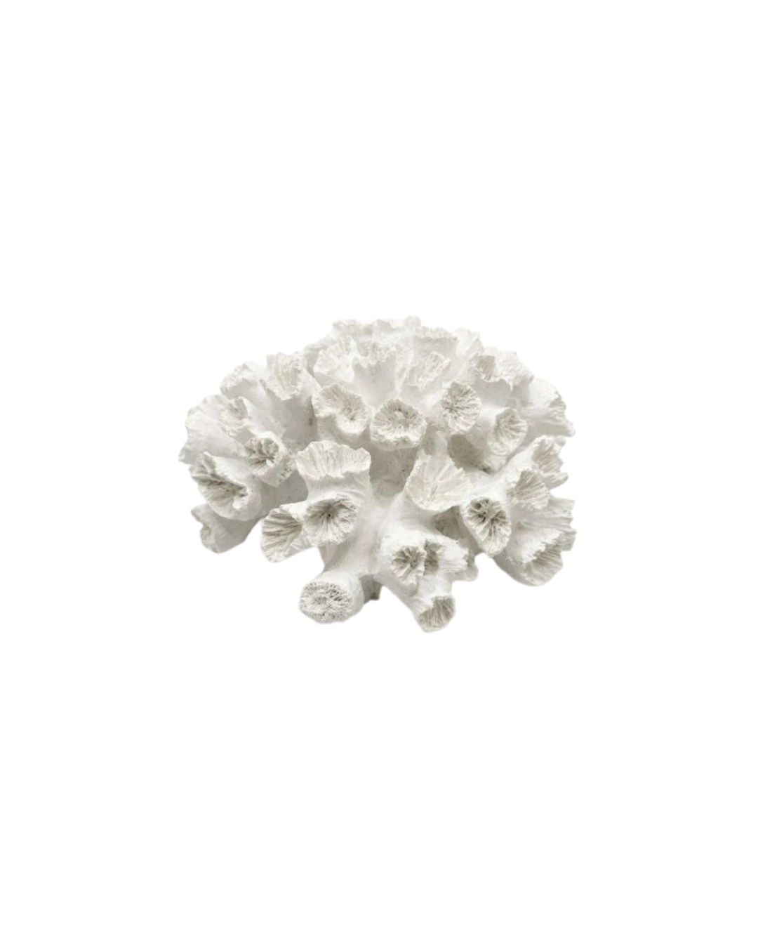 Textured White Coral Decor
