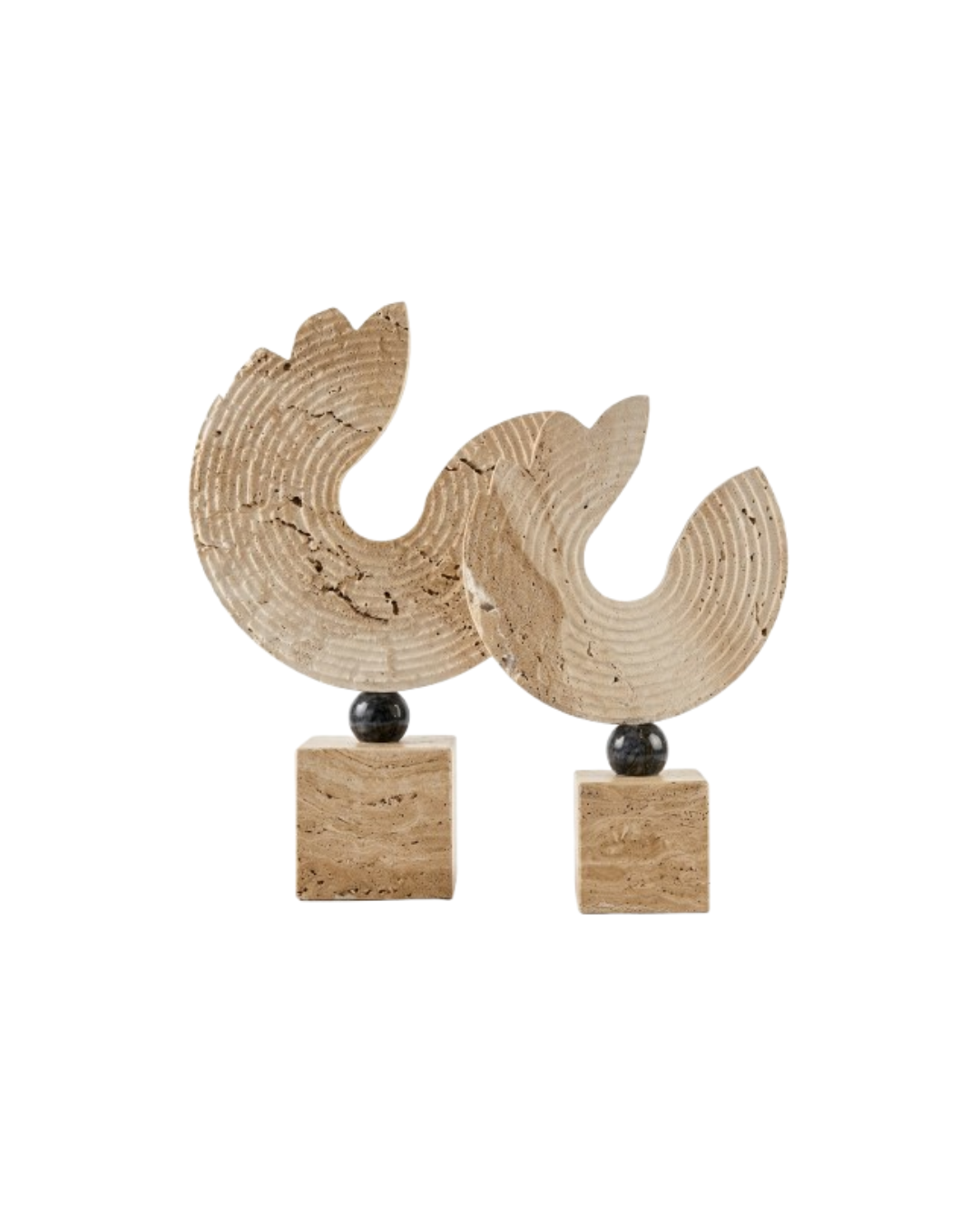 Ammonite Travertine Duo