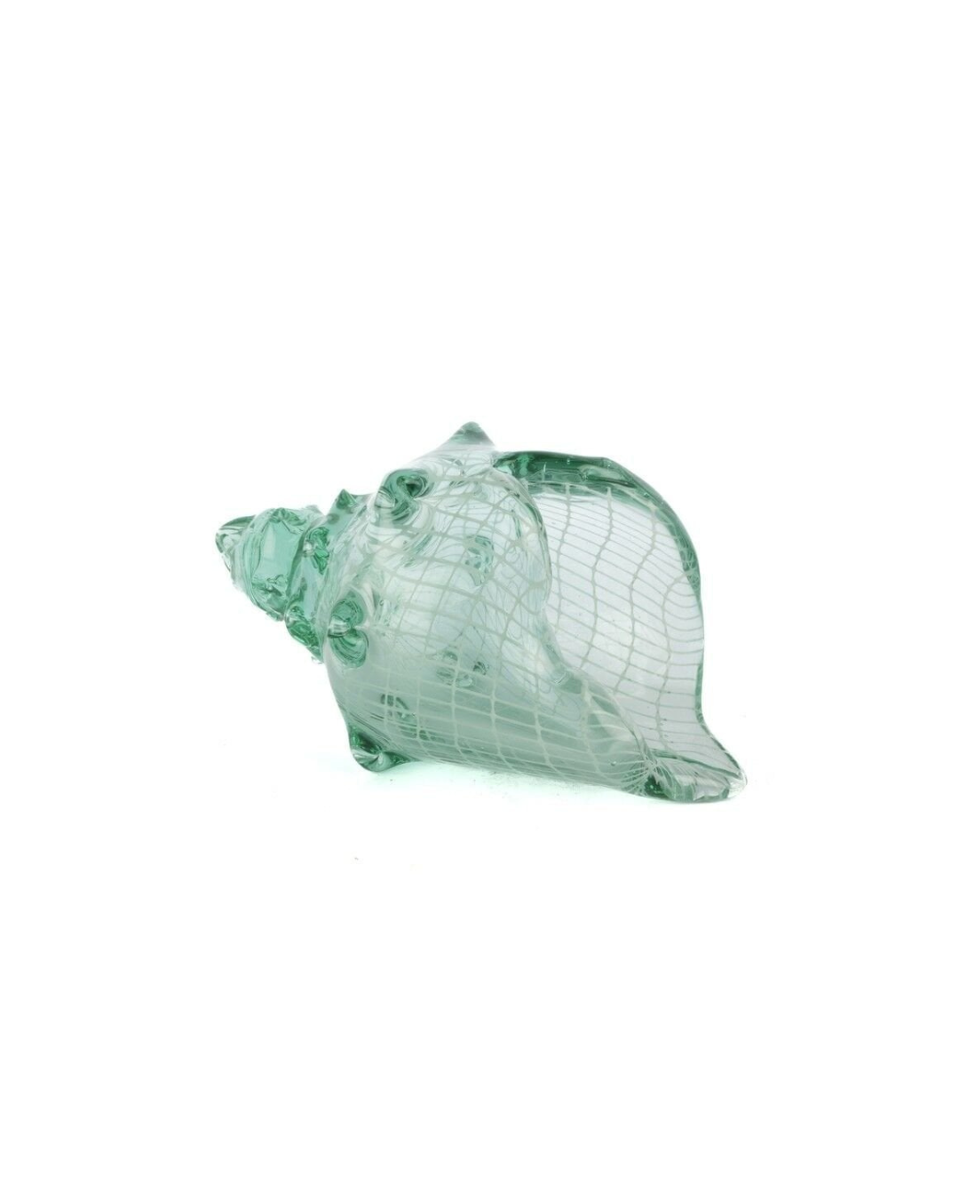 Mediterranean Glass Shell